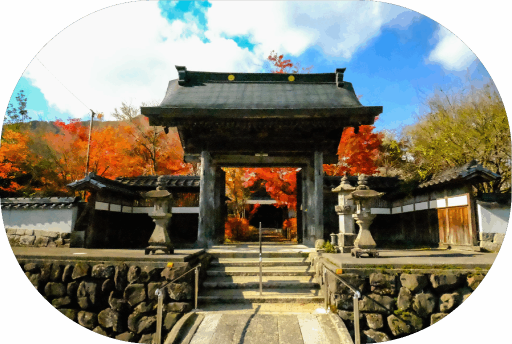 久万高原町の紅葉に囲まれた歴史ある寺院の山門